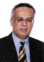Rokanuddin Mahmud